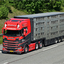DSC 8226-border - 10-05-2025