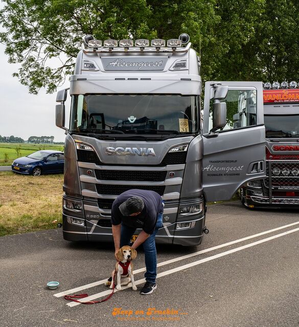 k-Truckshow Nederhemert 2025-44 Truckshow Nederhemert 2025