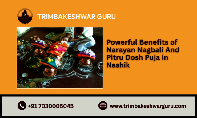 Powerful Benefits of Narayan Nagbali Trimbakeshwarguru