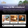 Cheapest stay in rishikeshC... - Picture Box