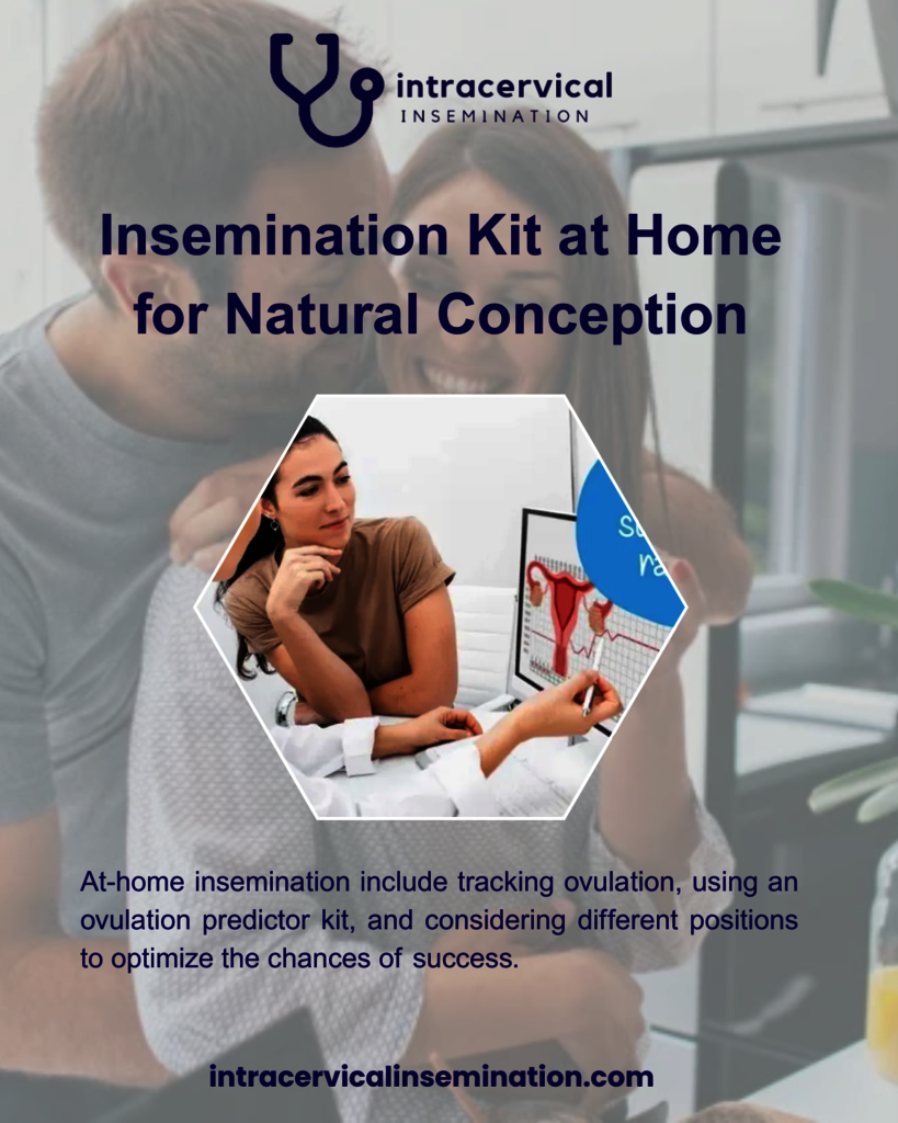 Insemination Kit at Home for Natural Conception Intracervical Insemination