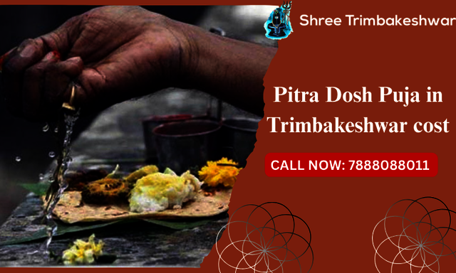 Pitra Dosh Puja in Trimbakeshwar cost Picture Box