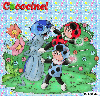 Cococinel Cococinel