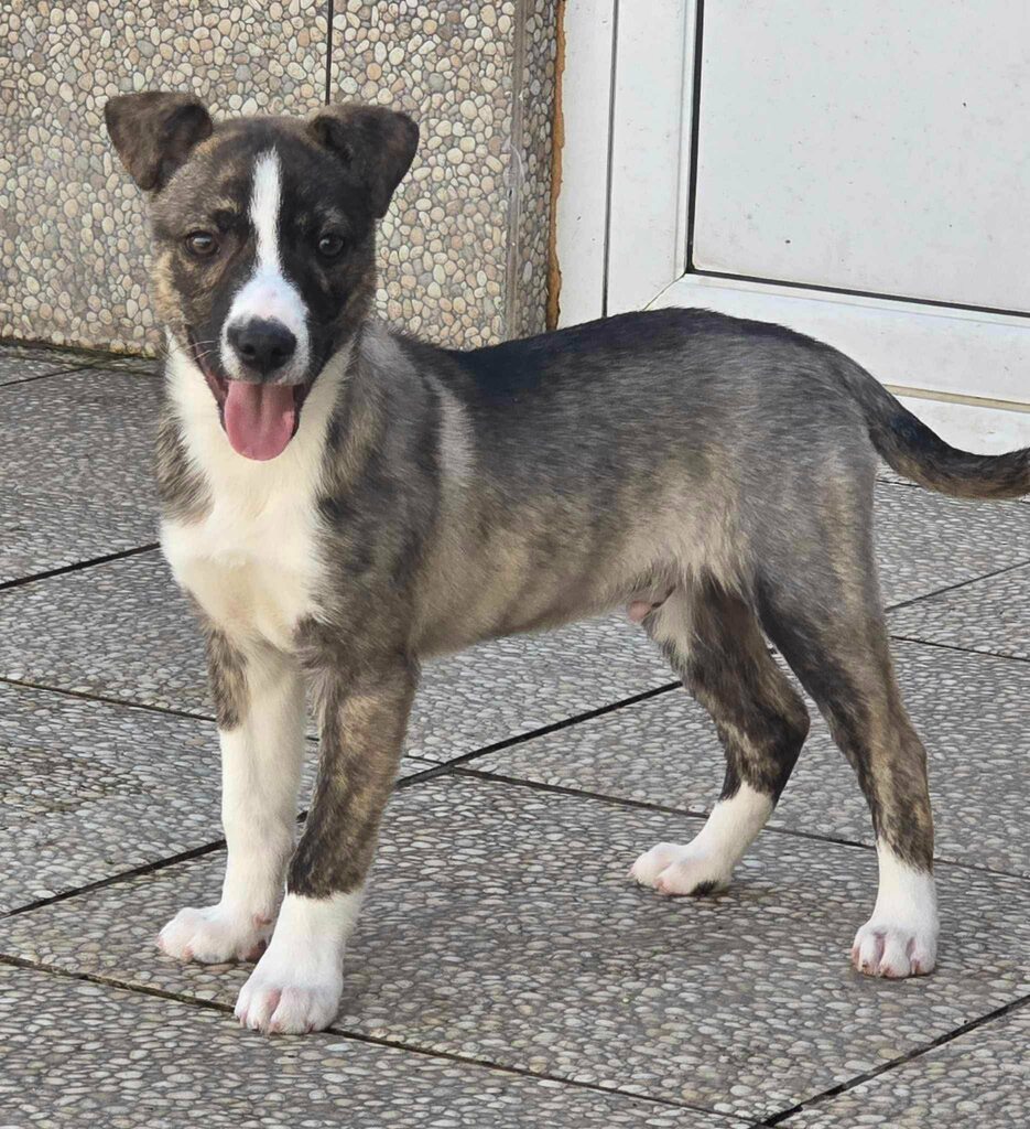 487215108 653160217615674 6407379732115200019 n - 