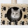 6 - Kittysitty