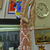 P1350998b - etnografica