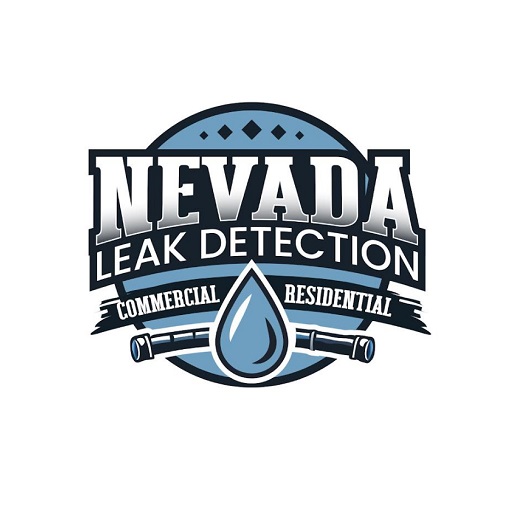 Screenshot 2025-05-28 212833 Nevada Leak Detection