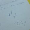 P1510120 p - jas01