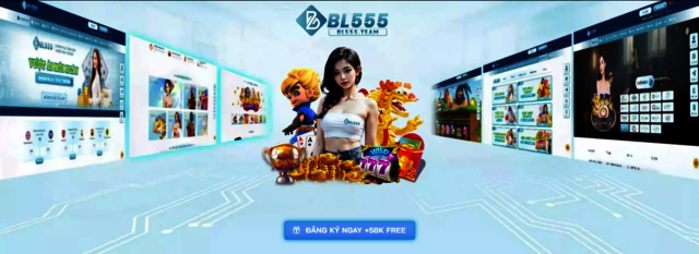 BL555 Picture Box