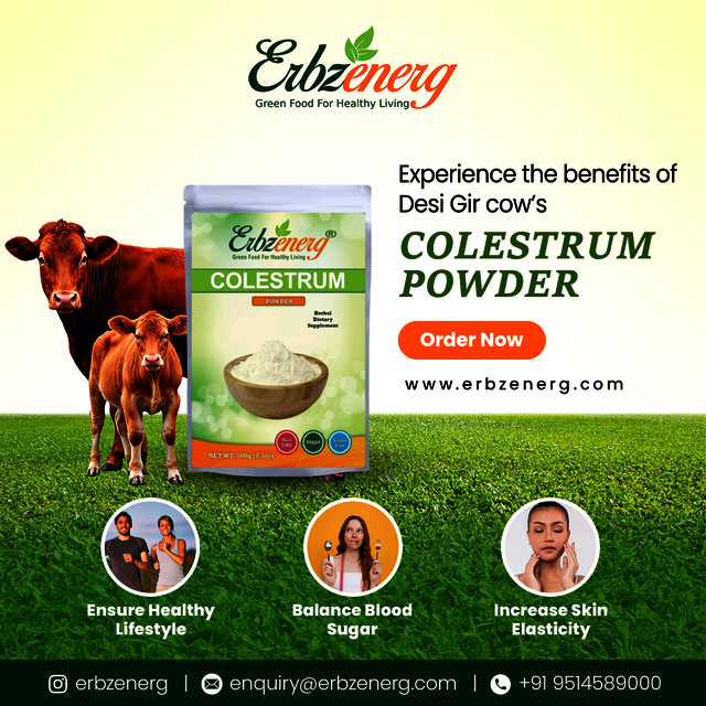 Erbzenerg-DM-11 Picture Box