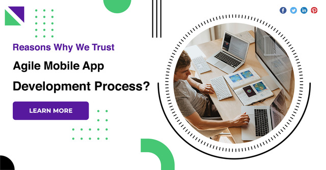 Reasons-Why-We-Trust-Agile-Mobile-App-Development- Picture Box
