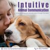 Intuitive animal communicat... - Intuitive animal communication