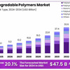 Polymers Market