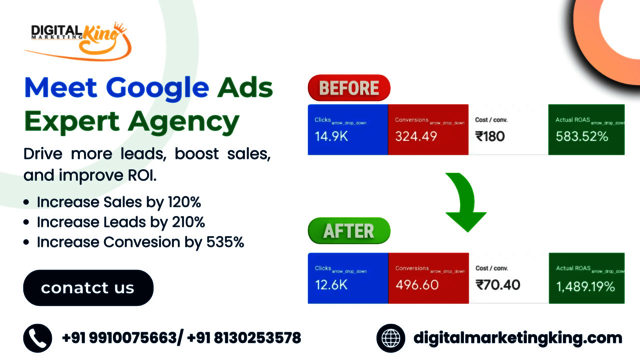 Google ads expert agency in Delhi Picture Box