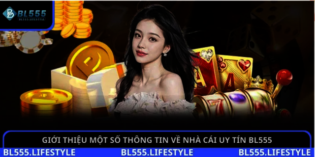 bl555.lifestyle Picture Box