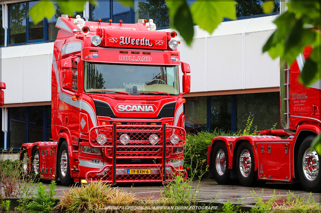 Teknoo (10)-BorderMaker - 