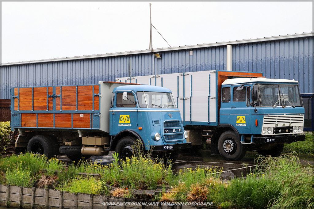 Teknooo (19)-BorderMaker - 