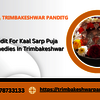 Best Pandit For Kaal Sarp Puja And Remedies In Trimbakeshwar