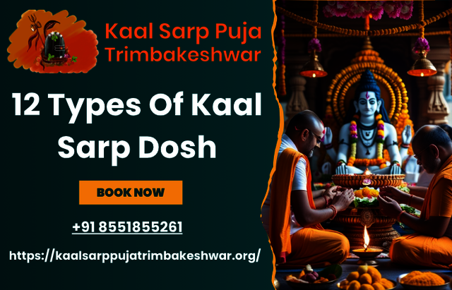 12 types of kaal sarp dosh Kalsarp Pooja in Trimbakeshwar by Pandit Ram Narayan