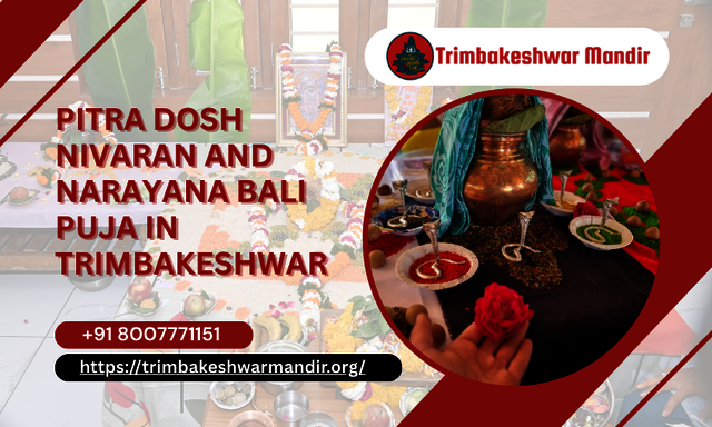 Pitra Dosh Nivaran And Narayana Bali Puja in Trimb Pitra Dosh Nivaran And Narayana Bali Puja in Trimbakeshwar
