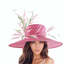 Ascot fascinators | hatsbyc... - Picture Box