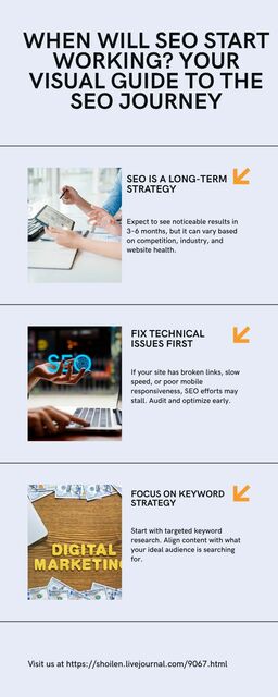 When Will SEO Start Working Your Visual Guide to t Picture Box