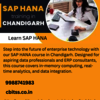 Learn SAP HANA - Picture Box