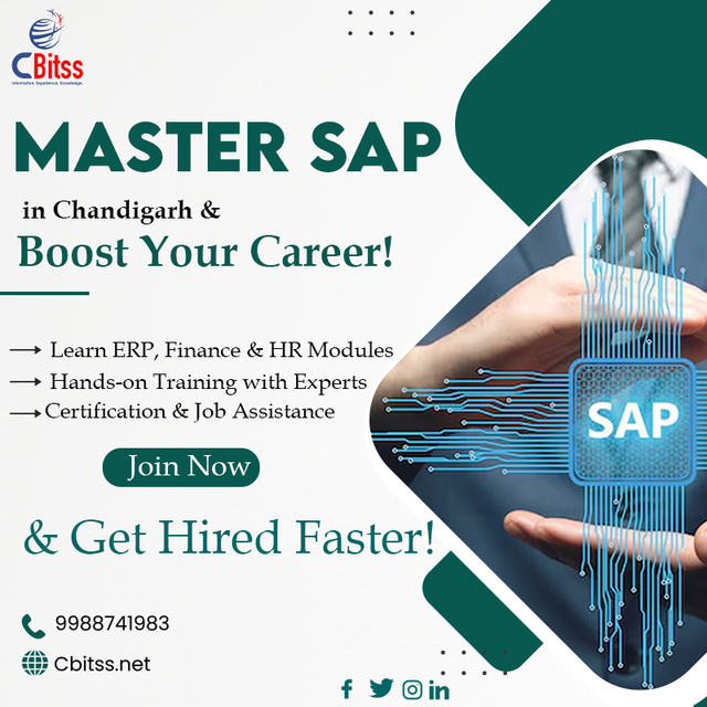 Master SAP sap training in chandigarh