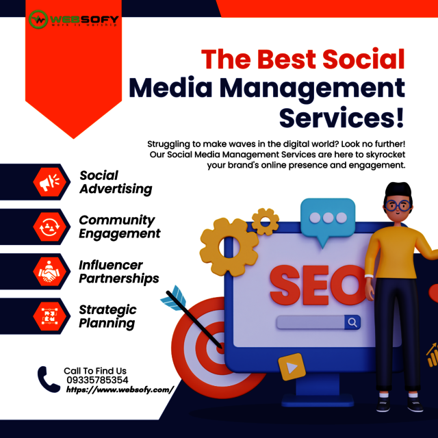 Websofy, a top-rated social media company in Luckn Picture Box