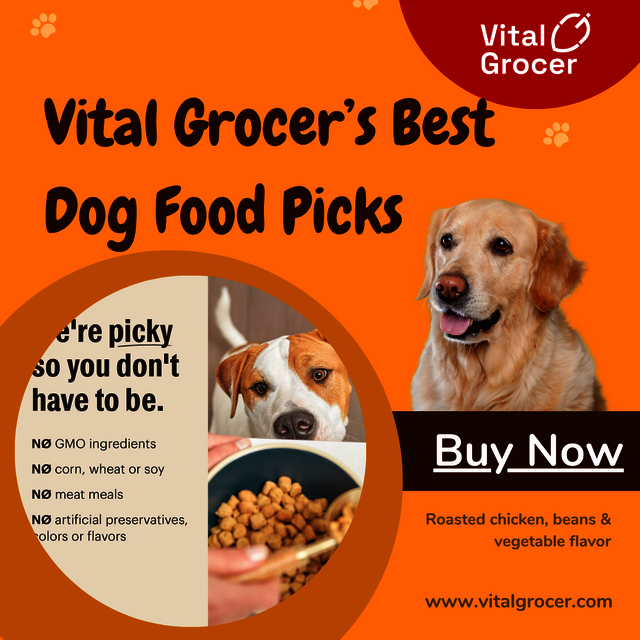 food for dog Best Dog Food That Dogs Love – Trusted by Vital Grocer