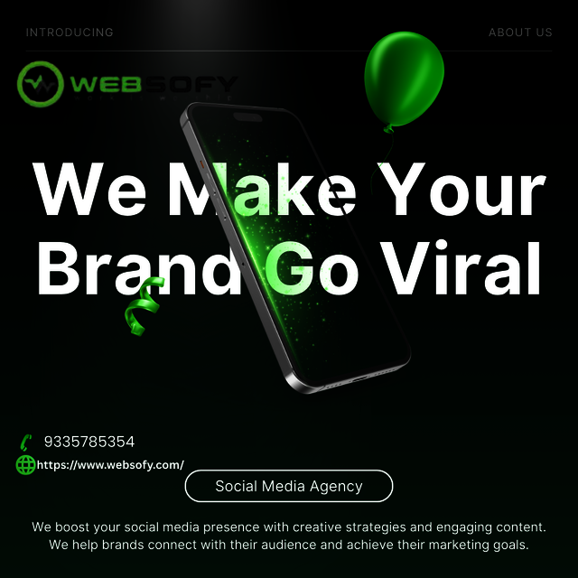 Promotional graphic by Websofy, a leading social m Picture Box