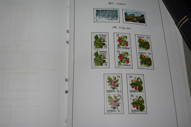 IMGP5923 10 kg deze UK sweden skandinavien years booklet