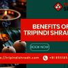 Tripindi Shraddha Puja and Navchandi Yagna for Peace and Positivity