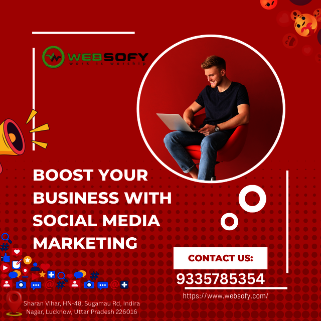 Social media marketing companies near me - Websofy Picture Box