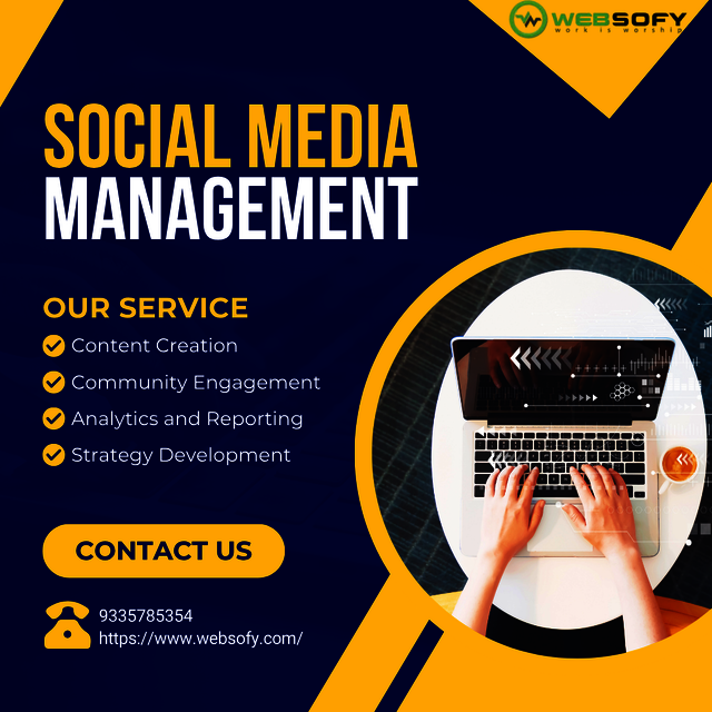 Social Media Optimization Services company in Luck Picture Box
