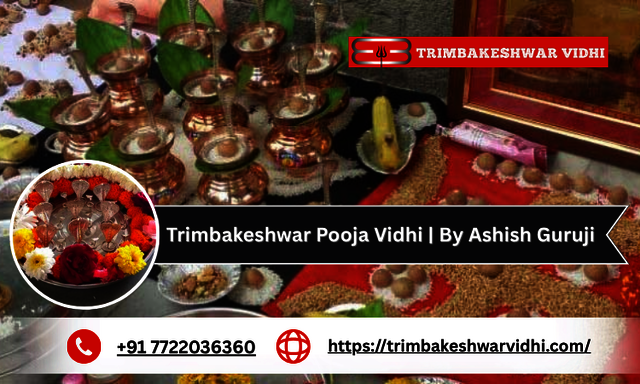 Trimbakeshwar Pooja Vidhi  By Ashish Guruji Trimbakeshwar Pooja Vidhi | By Ashish Guruji