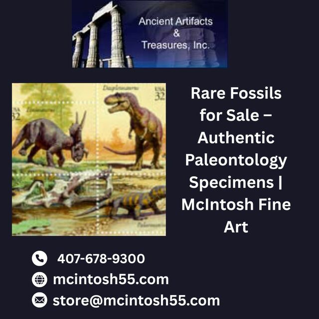 Rare Fossils for Sale – Authentic Paleontology Spe Fossils & Paleontology – Rare Specimens for Sale | McIntosh Fine Art