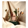 WildFloweR - Picture Box