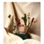 WildFloweR - Picture Box