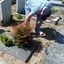 John en Ad naar het graf 09... - R.I.P. Father 1915-1992 & Mother 1921-2012