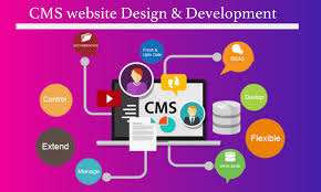 cms website 7 Picture Box