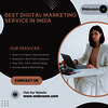 Best Digital Marketing Serv... - Picture Box