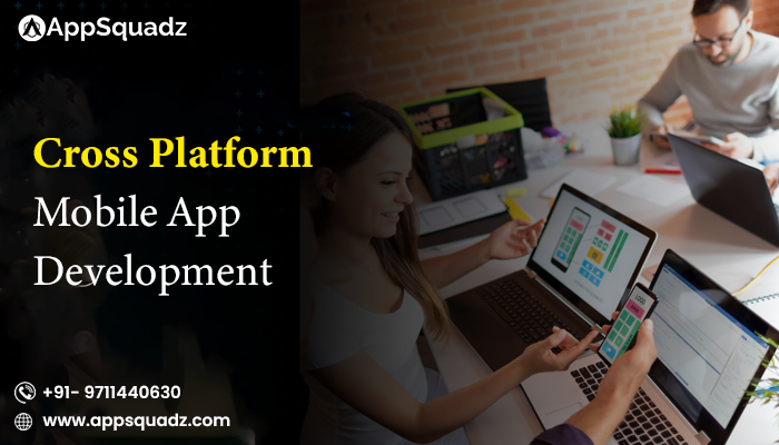 Cross-platform-mobile-development-company Picture Box
