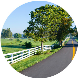 Opioid addiction treatment Lexington ky Picture Box