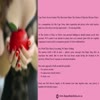 Exclusive Escorts Cape Town - Picture Box