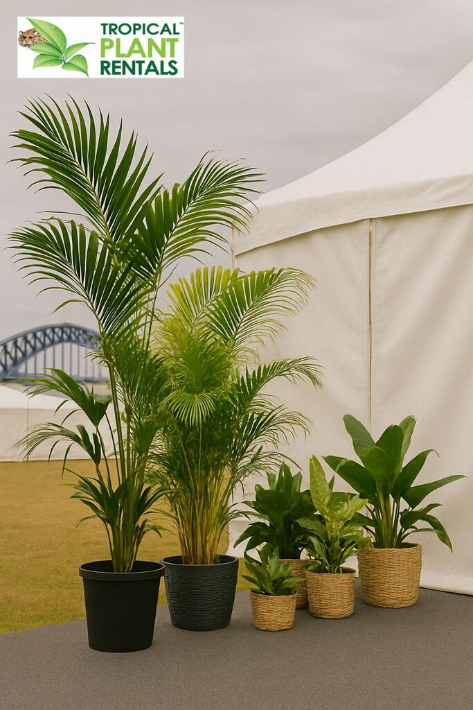 Tropical Plant Rental Tropical Plant Rentals Official