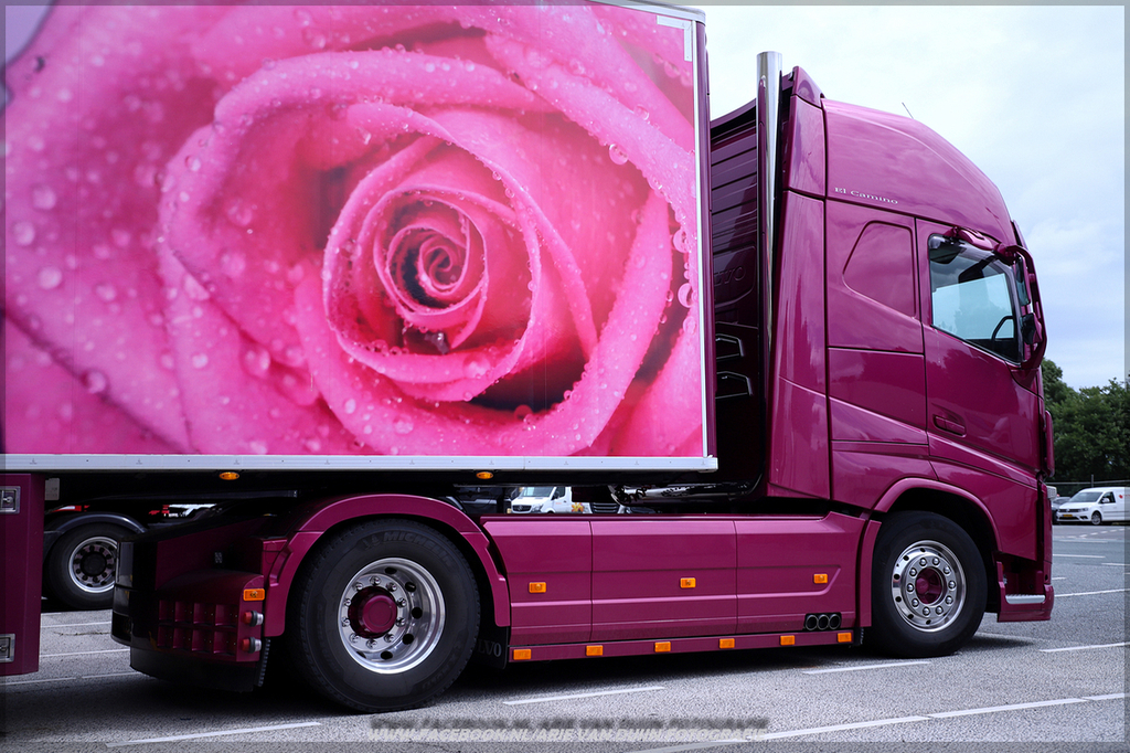 bewerkenn (9)-2-BorderMaker - 