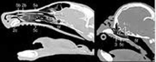 488720563 1237307078400197 2613000689436082425 n - 