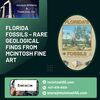 Florida Fossils – Rare Geological Finds from McIntosh Fine Art