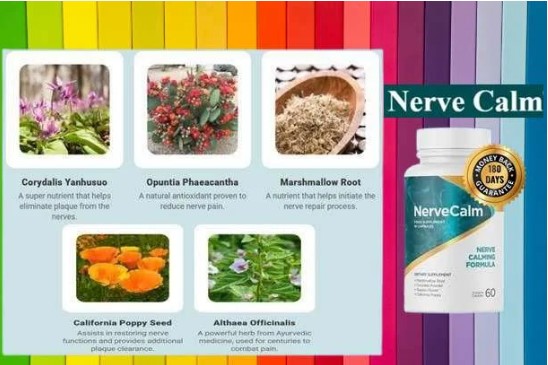 Screenshot 2025-07-21 141236 Nerve Calm Reviews